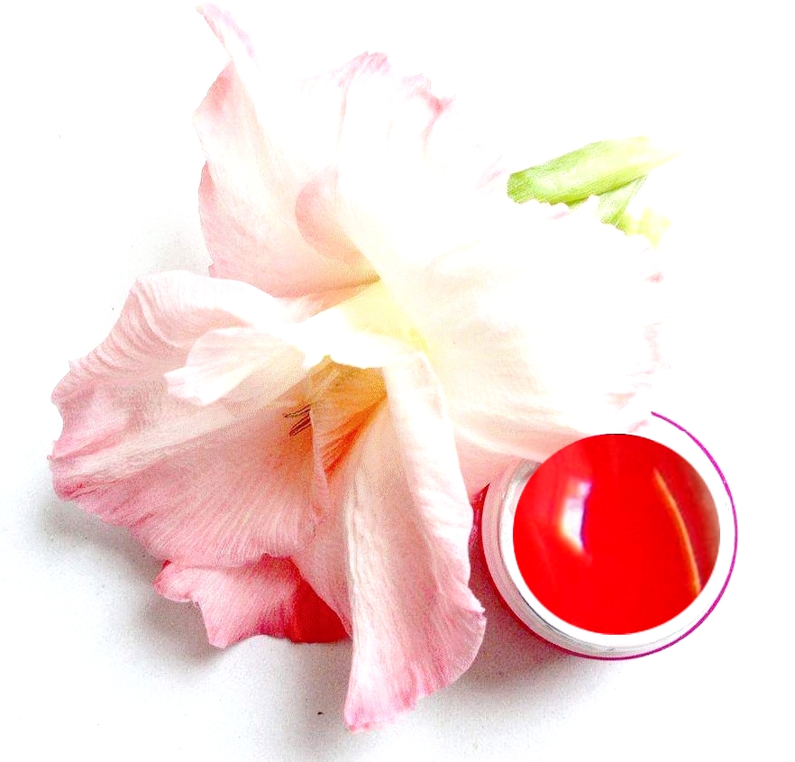 Pasta Gel Red 5ml - jasně červená 