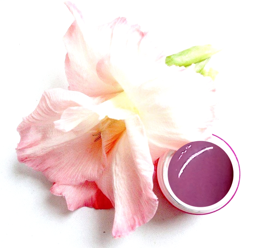 Pasta Gel Dark Violet 5ml - tmavá fialová