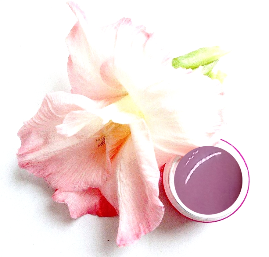 Pasta Gel Violet 5ml - fialový pastel