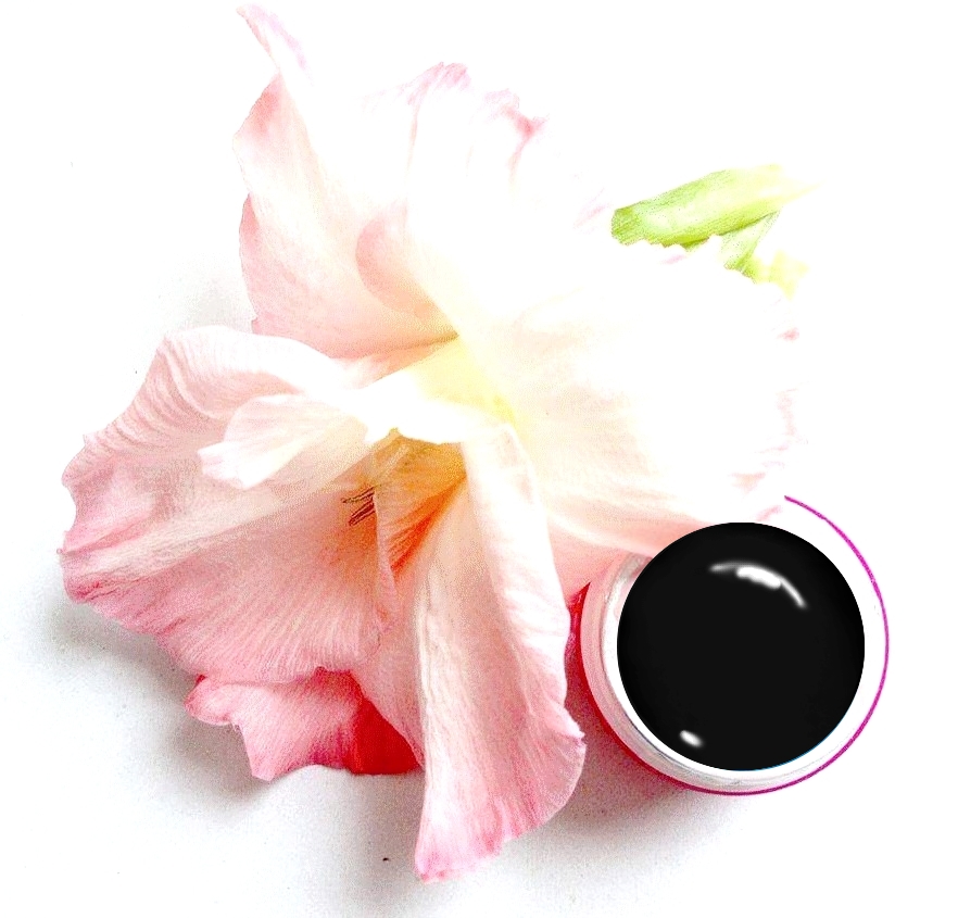 Pasta Gel Black 5ml - černý 