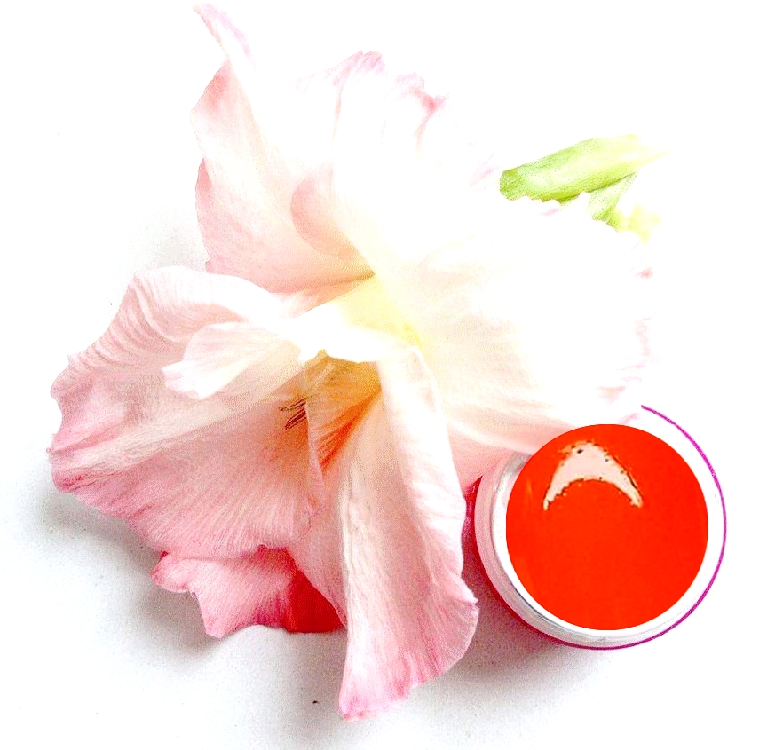 Pasta Gel Neon Orange 5ml - neonově oranžová